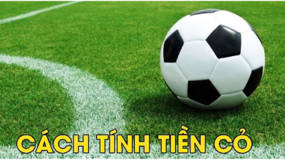 Cách tính tiền cỏ cực chuẩn dành cho người mới tại nhà cái